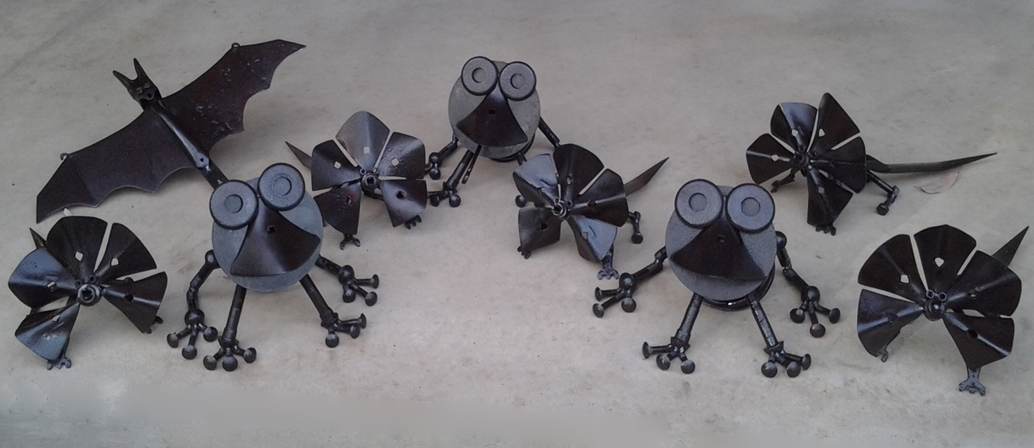 Territory Collection
